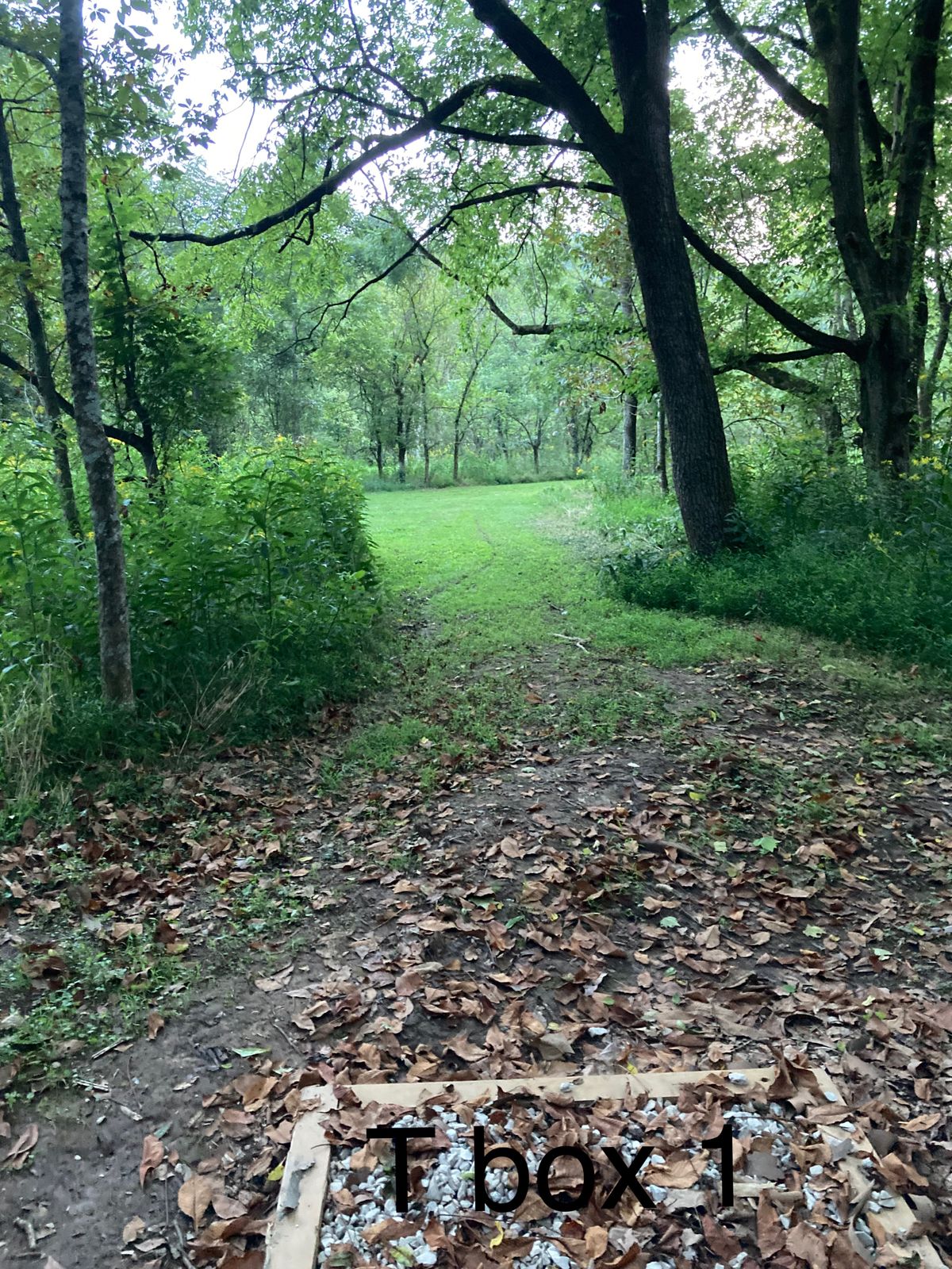 T box 1 hole 11