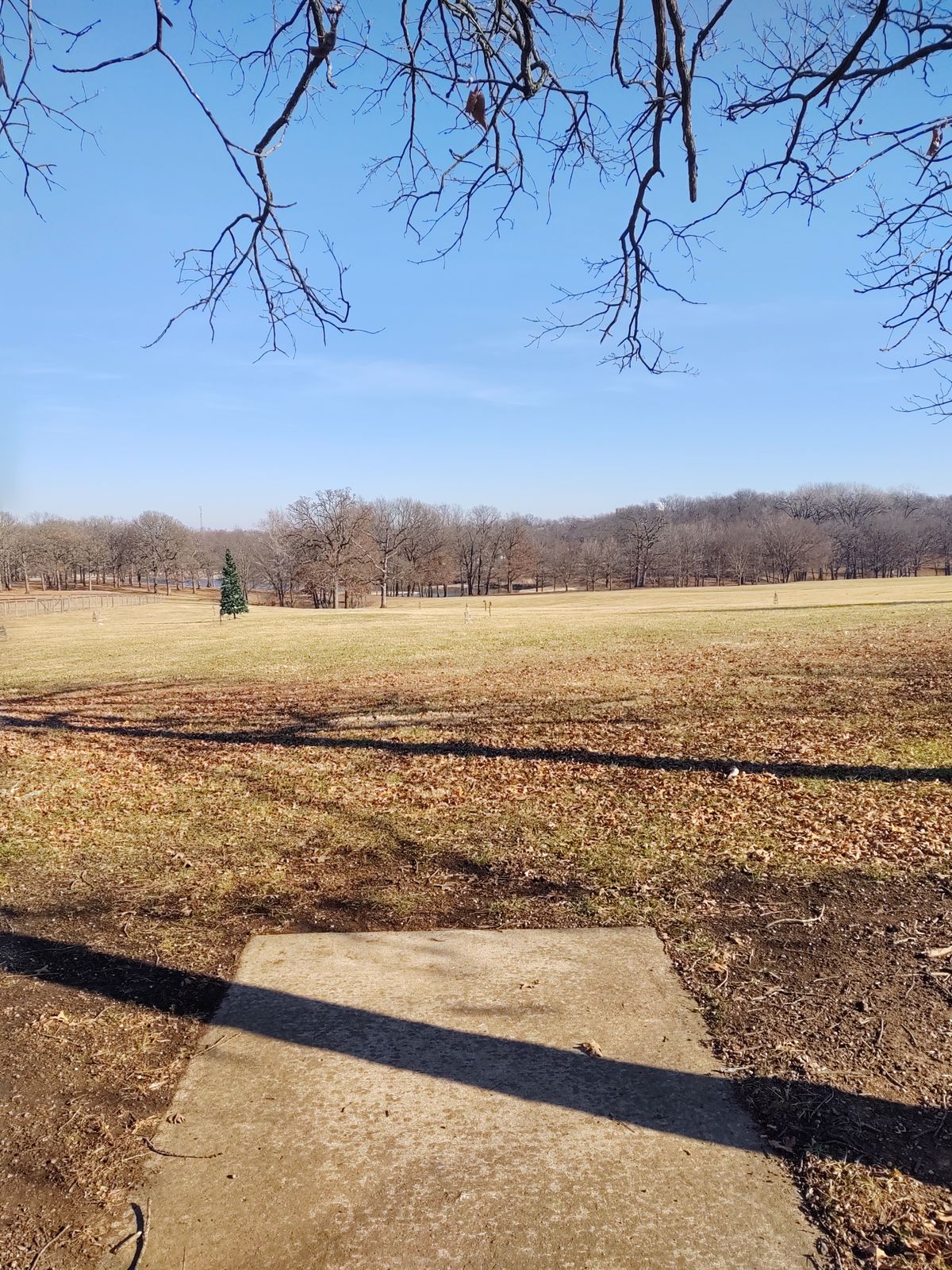 Hole 15 tee