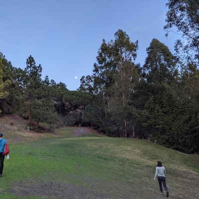 Course Photo