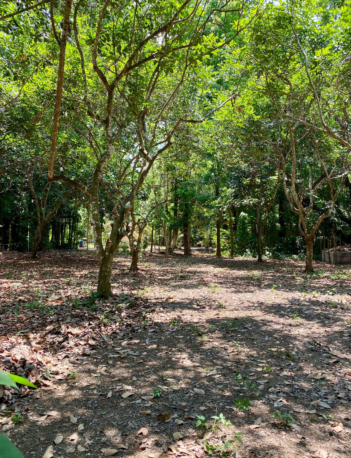 Hole 5