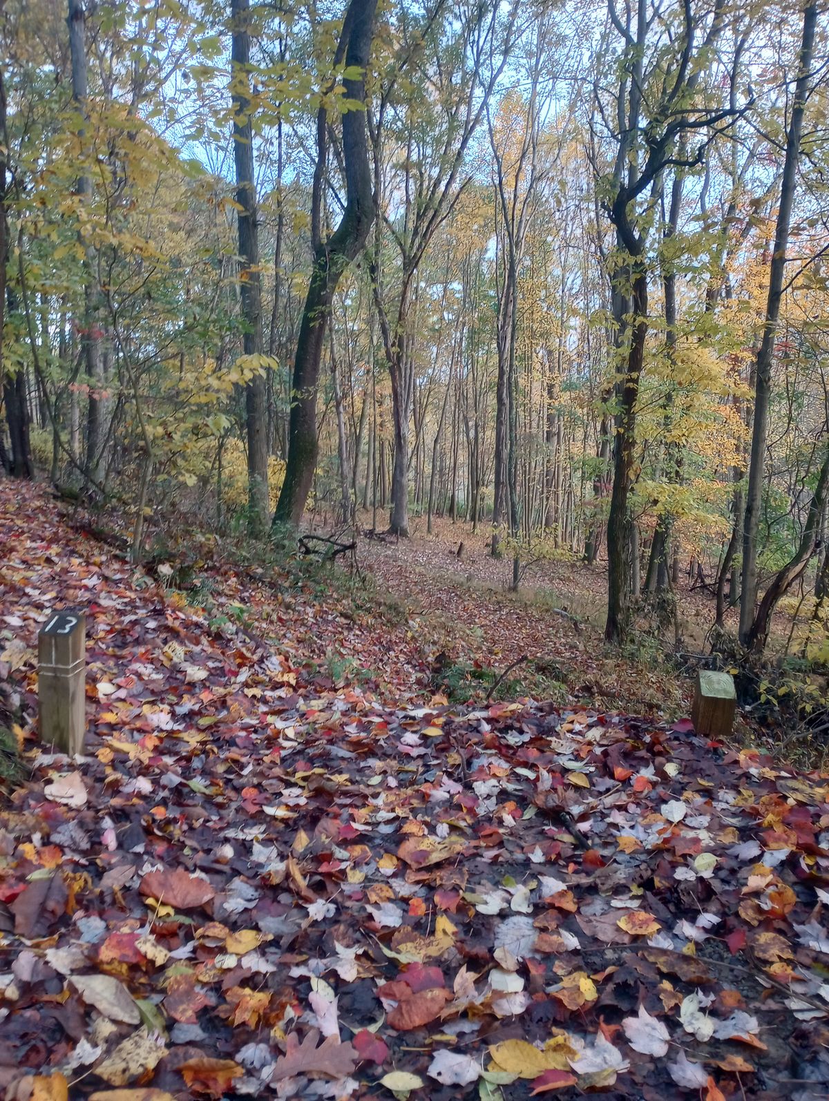 Hole 13: fall