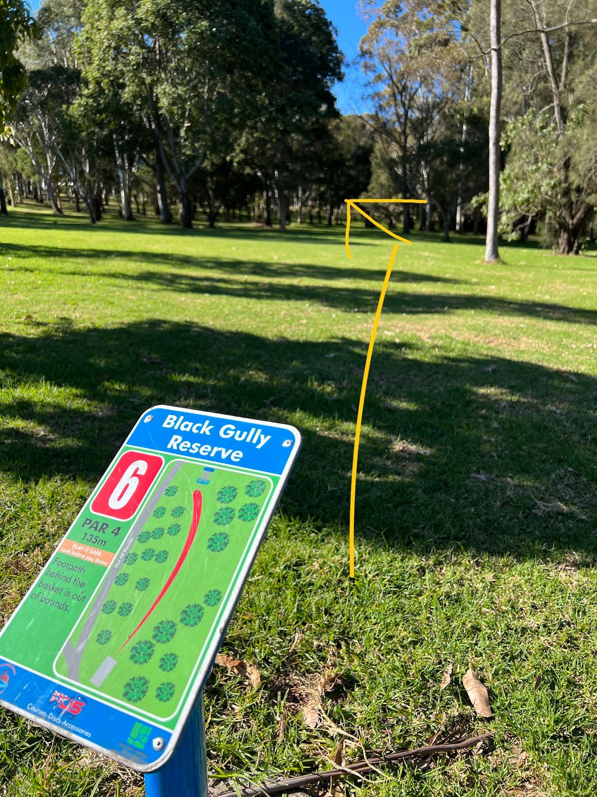 Hole 6 shot to fairway before approaching basket