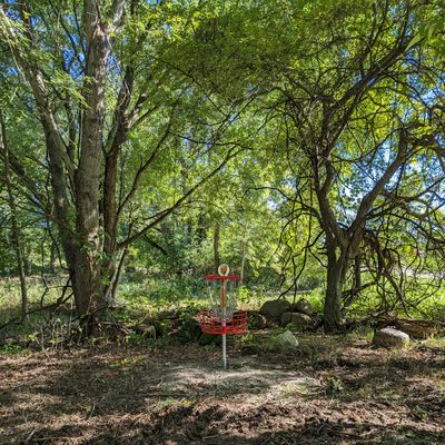 Hole 9 Basket