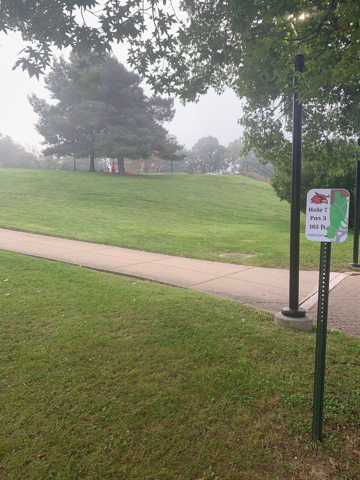 Hole #7 Tee