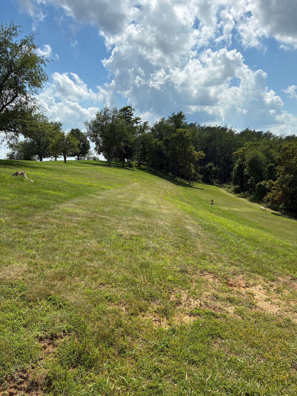 #9 Tee Box