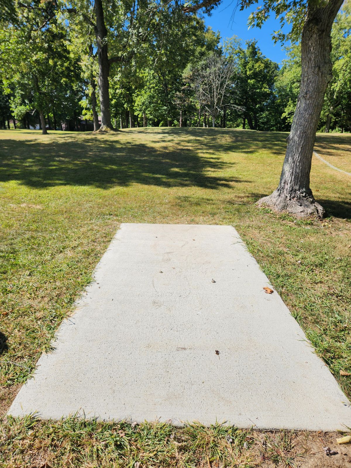 Hole 5 Blue