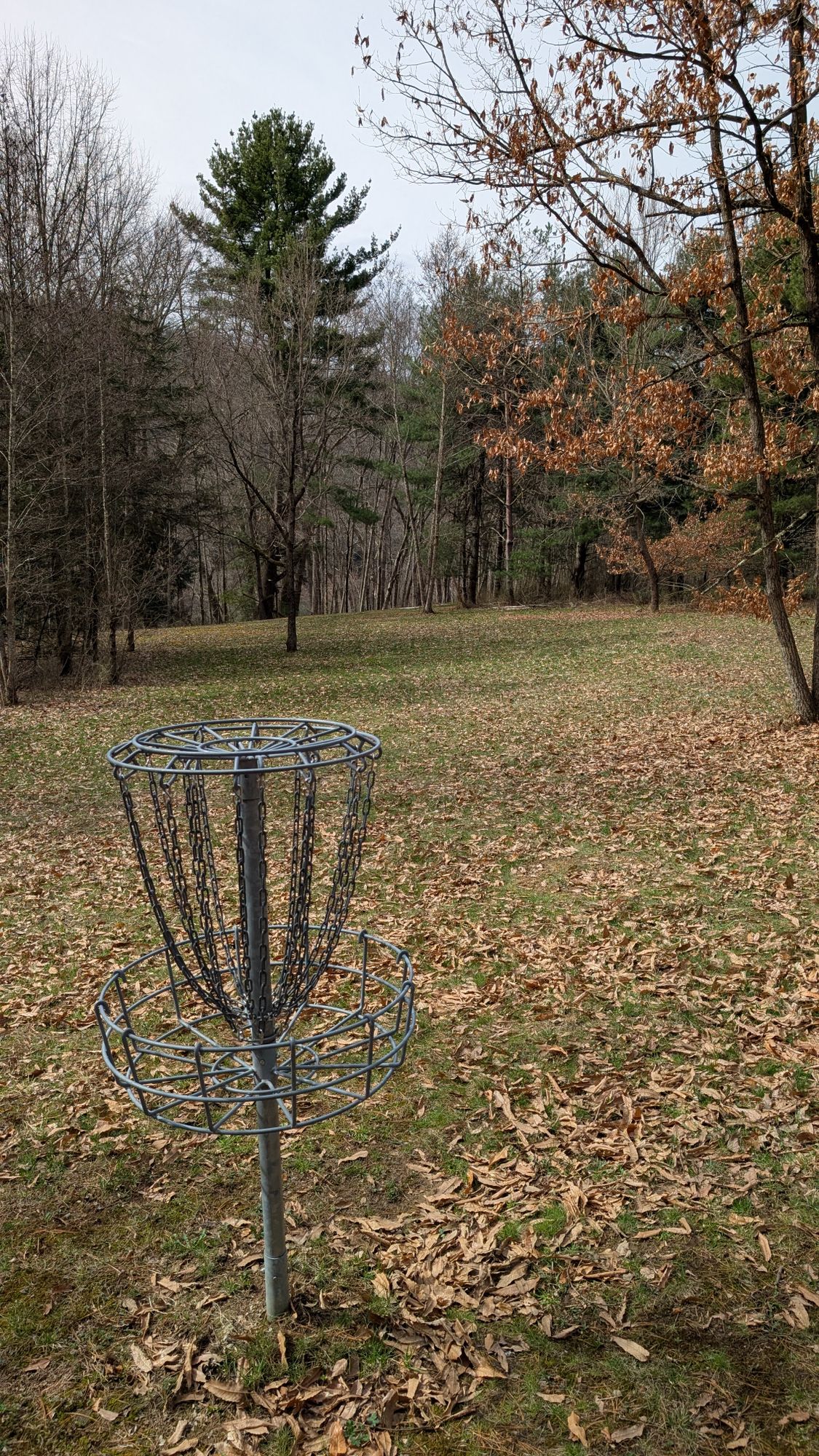 Hole 12 basket view