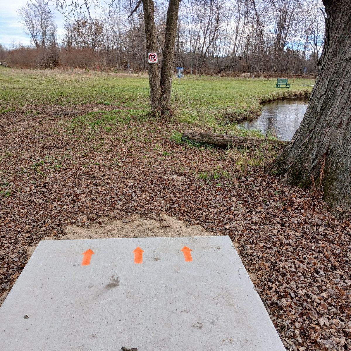 #5, 100 ft with a water hazard