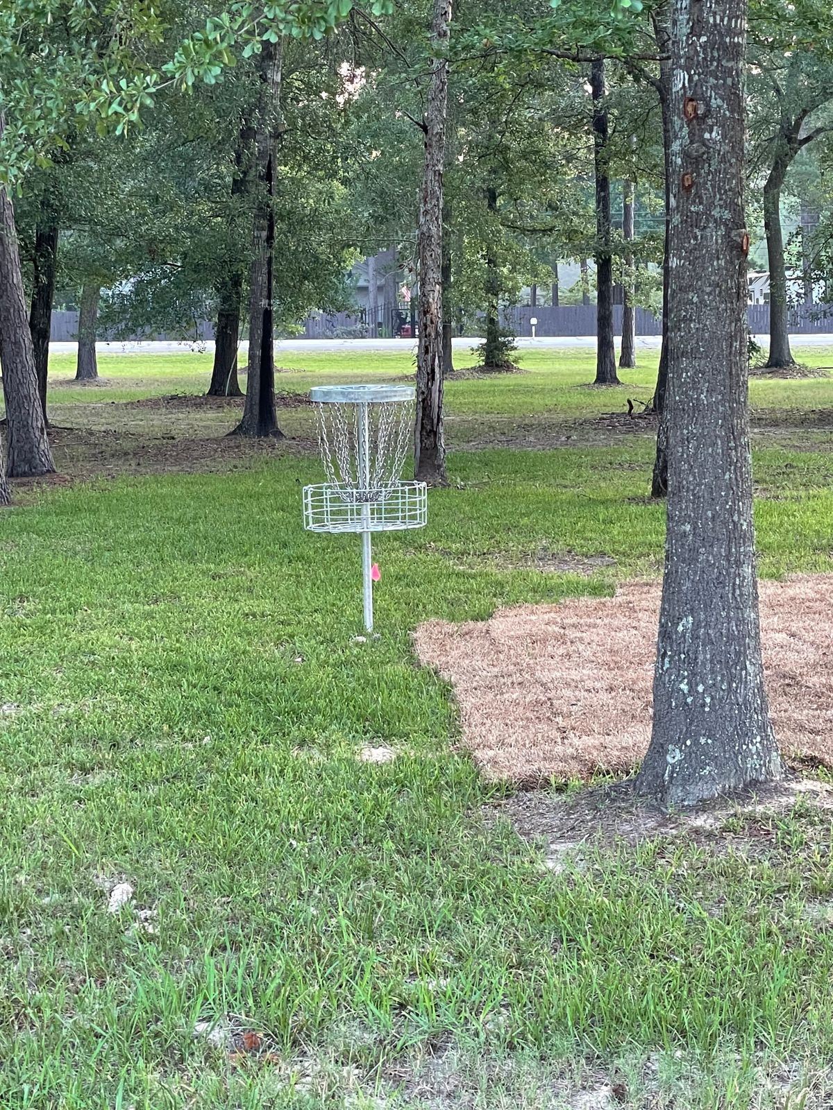 Hole 8 Basket