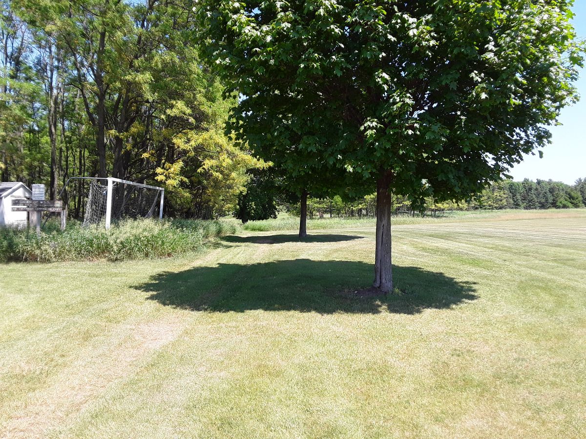 Hole 1 - White ter