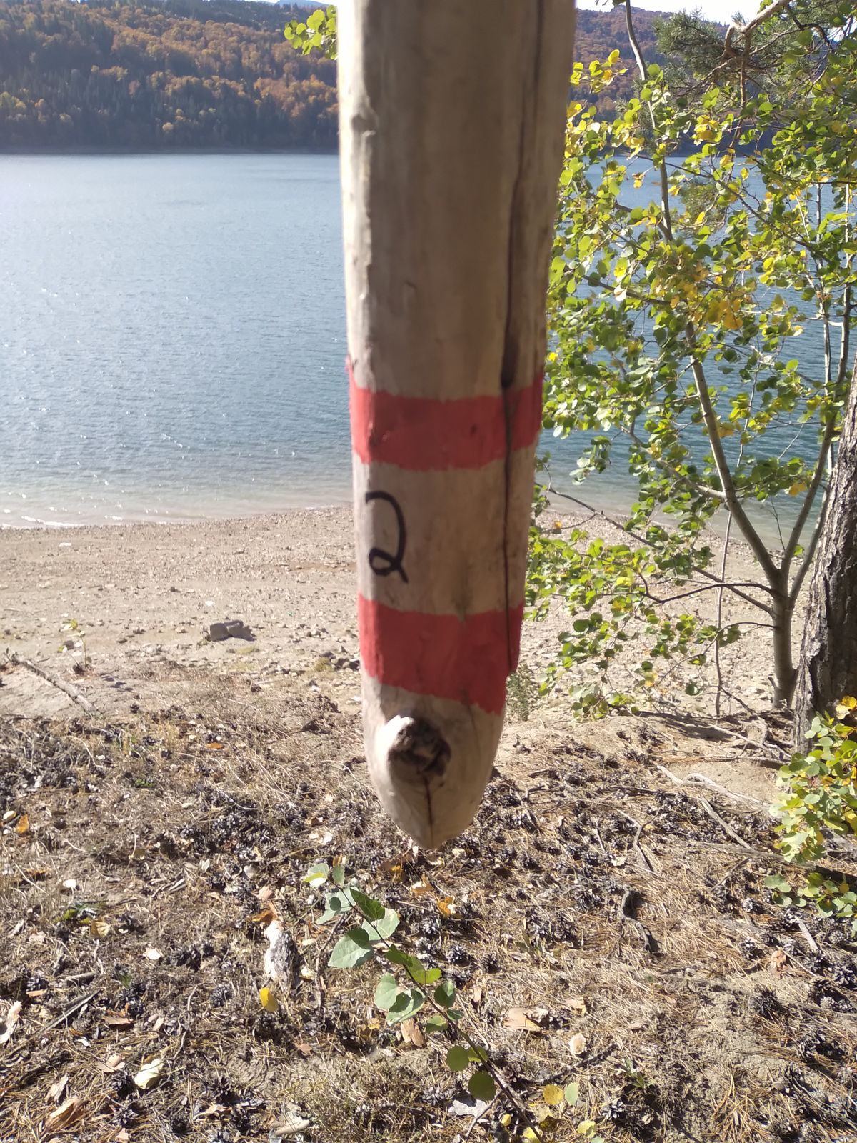 Hole 2 Tone Pole
