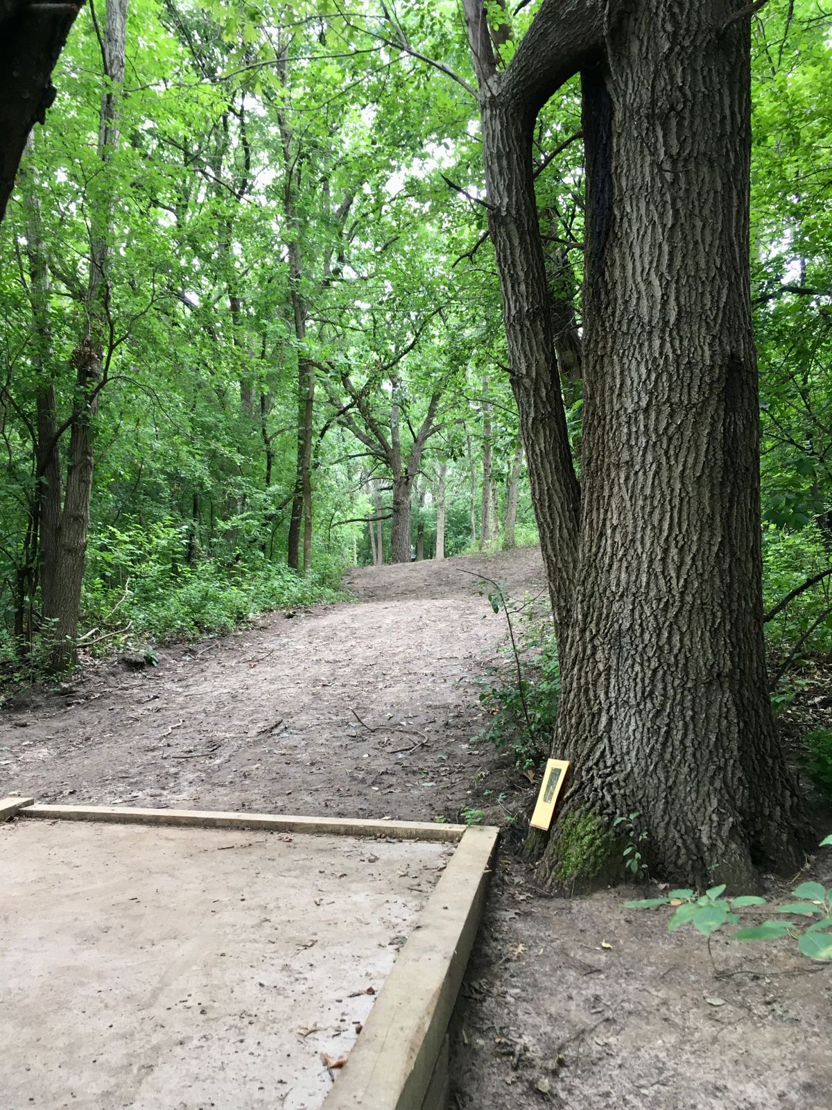 New hole 6