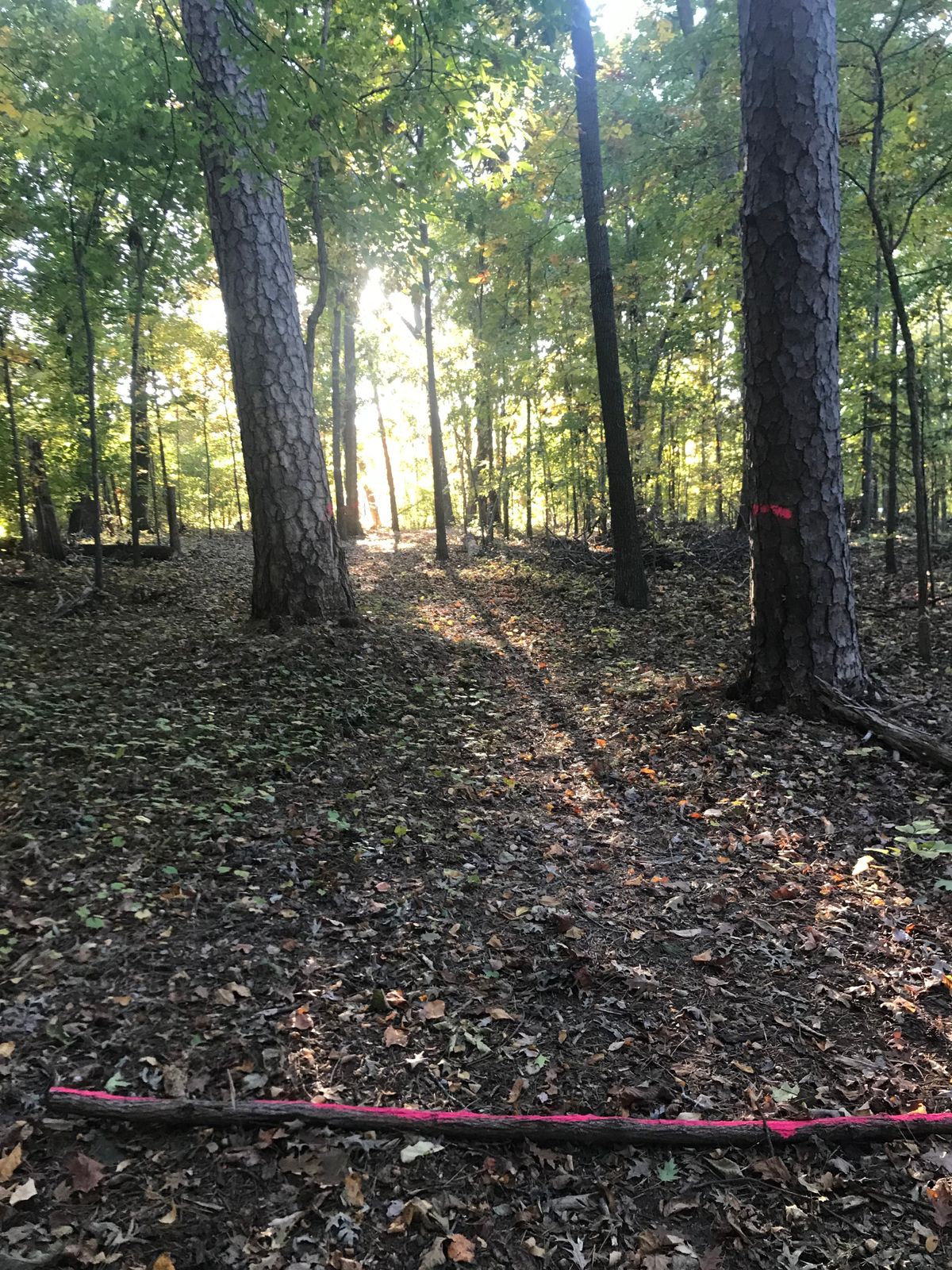Short holes that are very tight, great course for a beginner to learn how to throw tight holes.