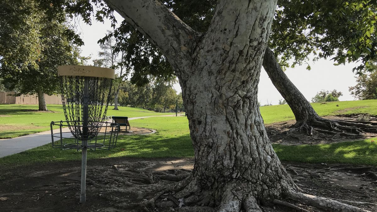 Hole 8