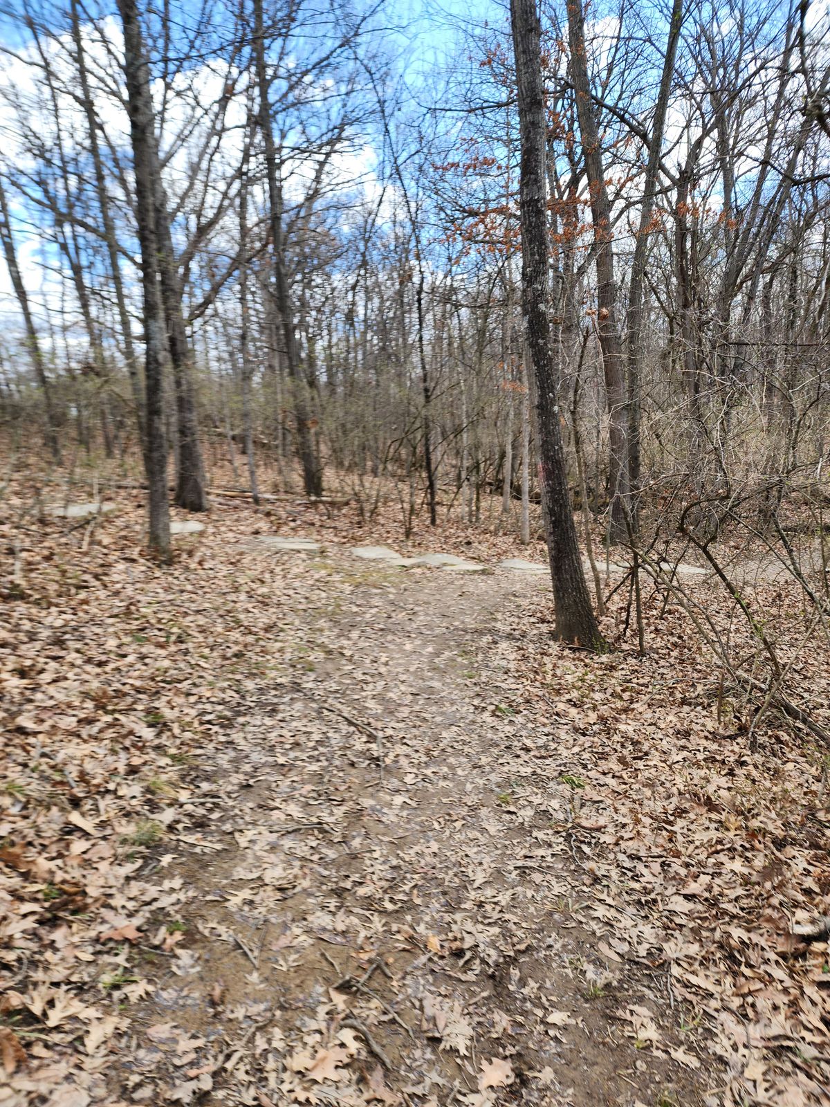 Walking path