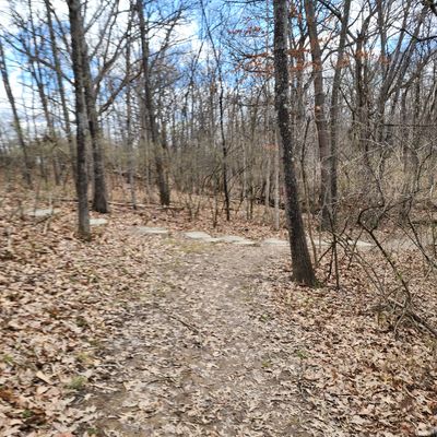 Walking path