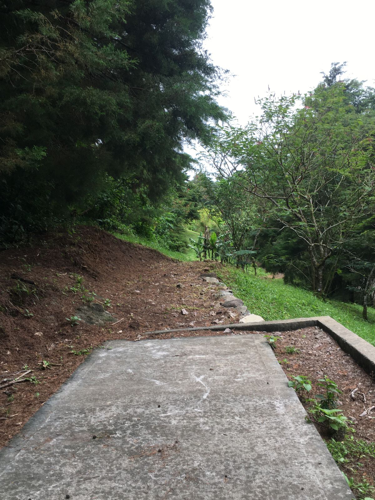 Hole 9 Long Tee