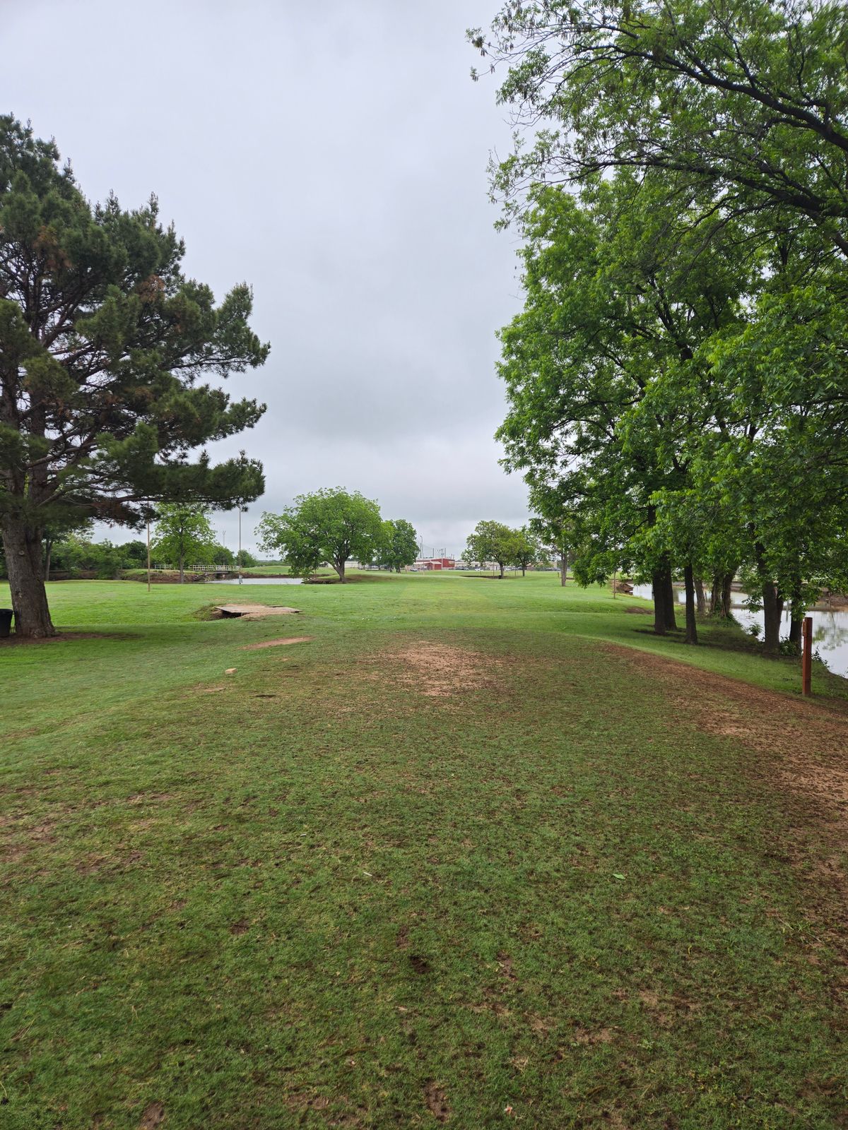 Hole 5 Tee