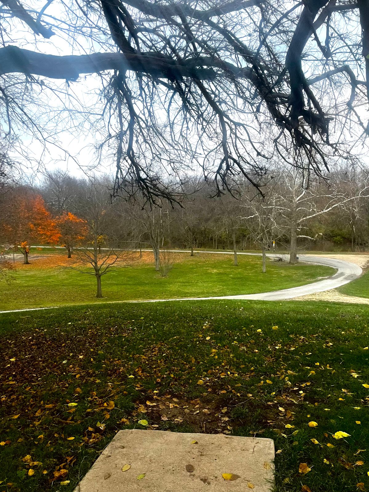 Hole #4 tee box