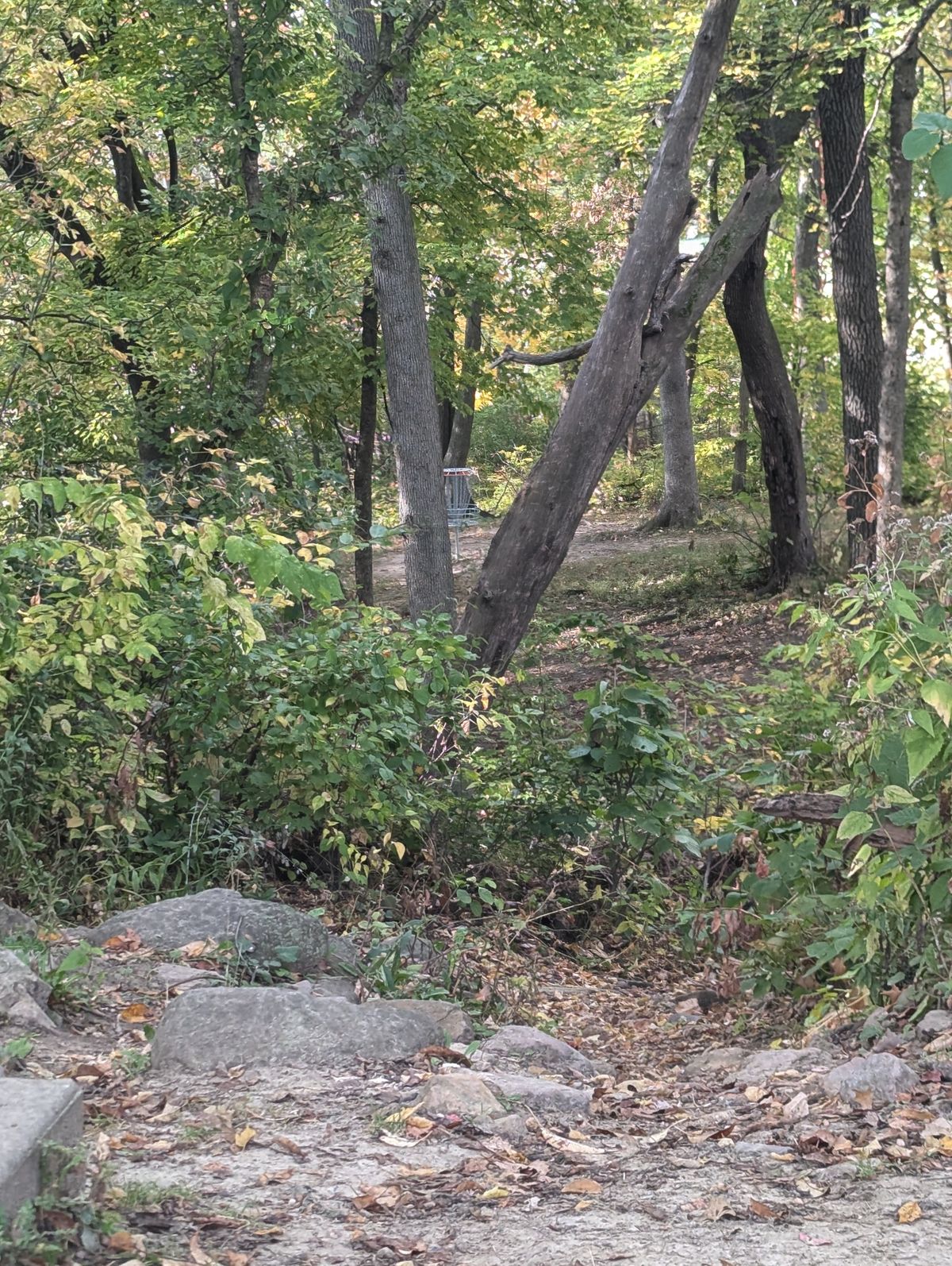 From teepad, hole 10