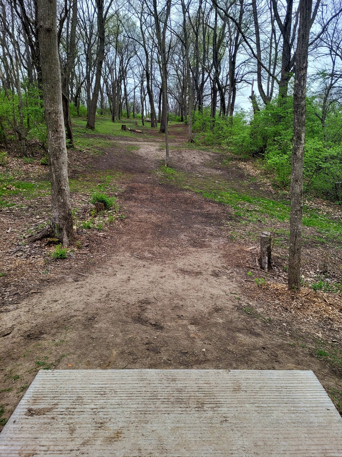 Hole 4 Long Tee