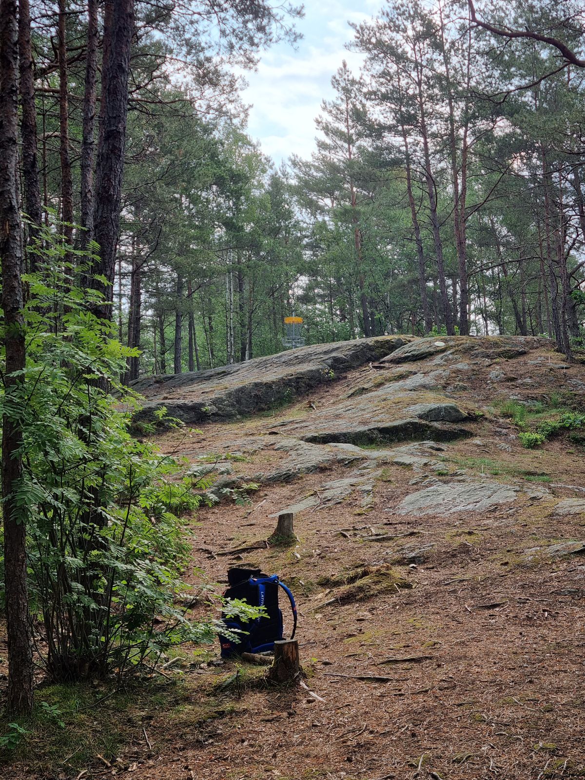 Hål 6