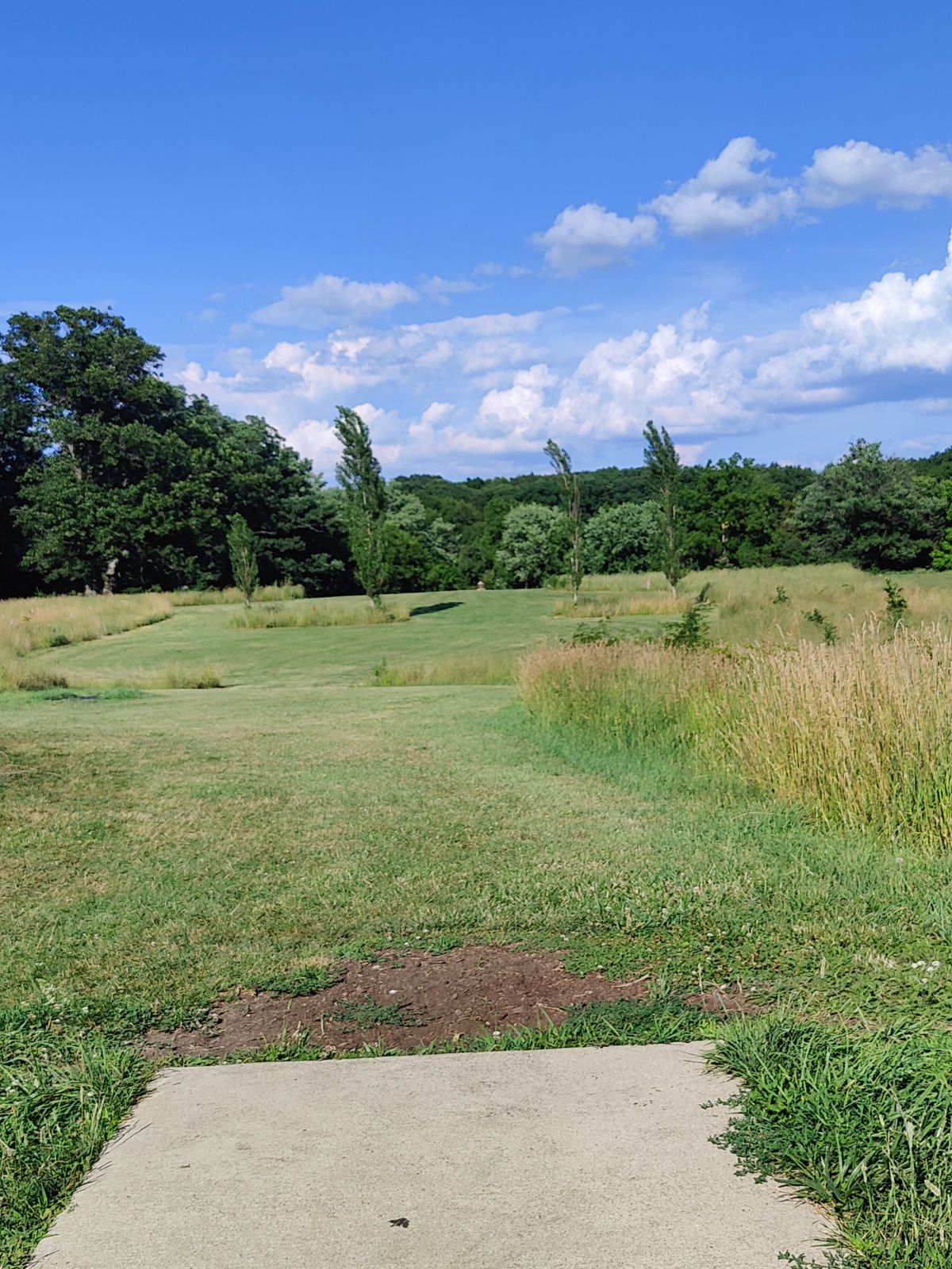 Par 4