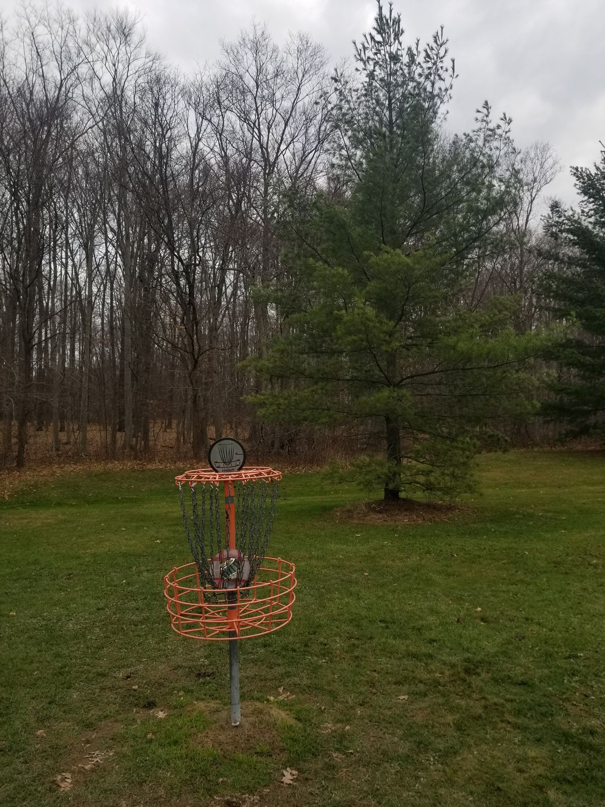 Practice Basket
