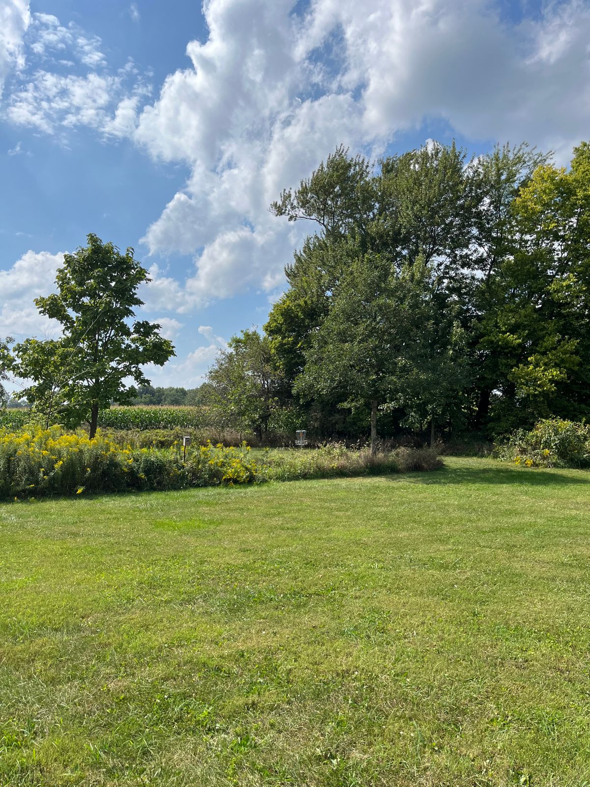 Basket of hole 4.