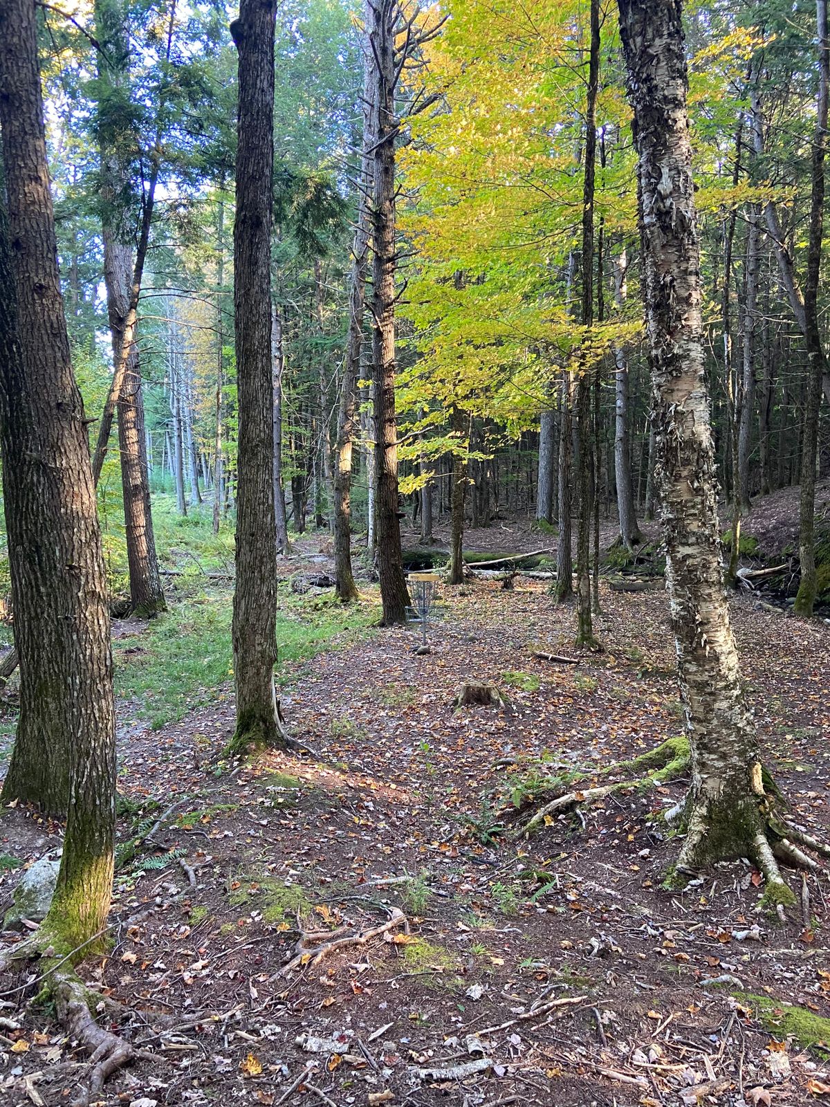 Hole 13 green