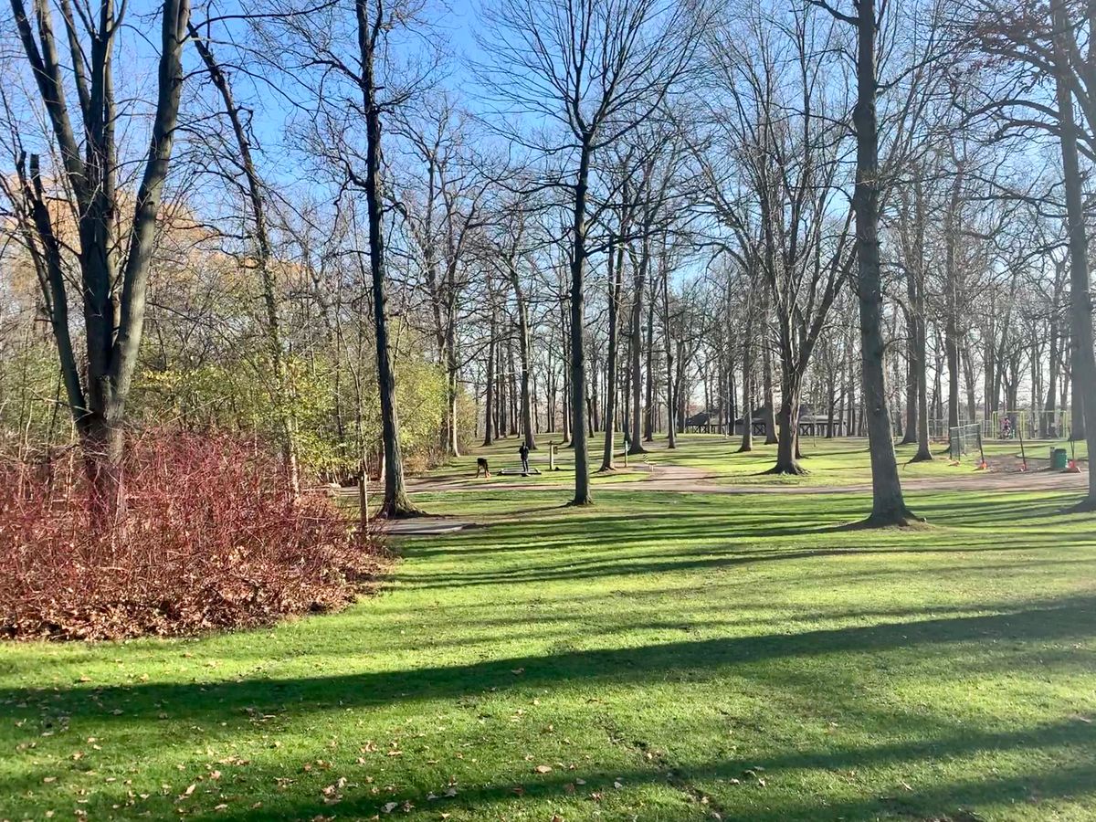 Lovely autumn day for a round of disc golf!