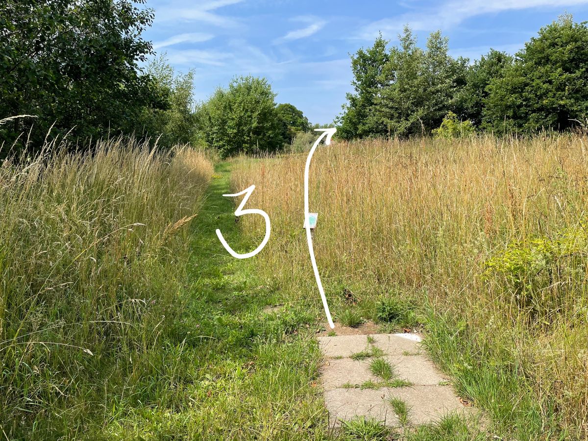 The course as it looks in 2023: Hole 3