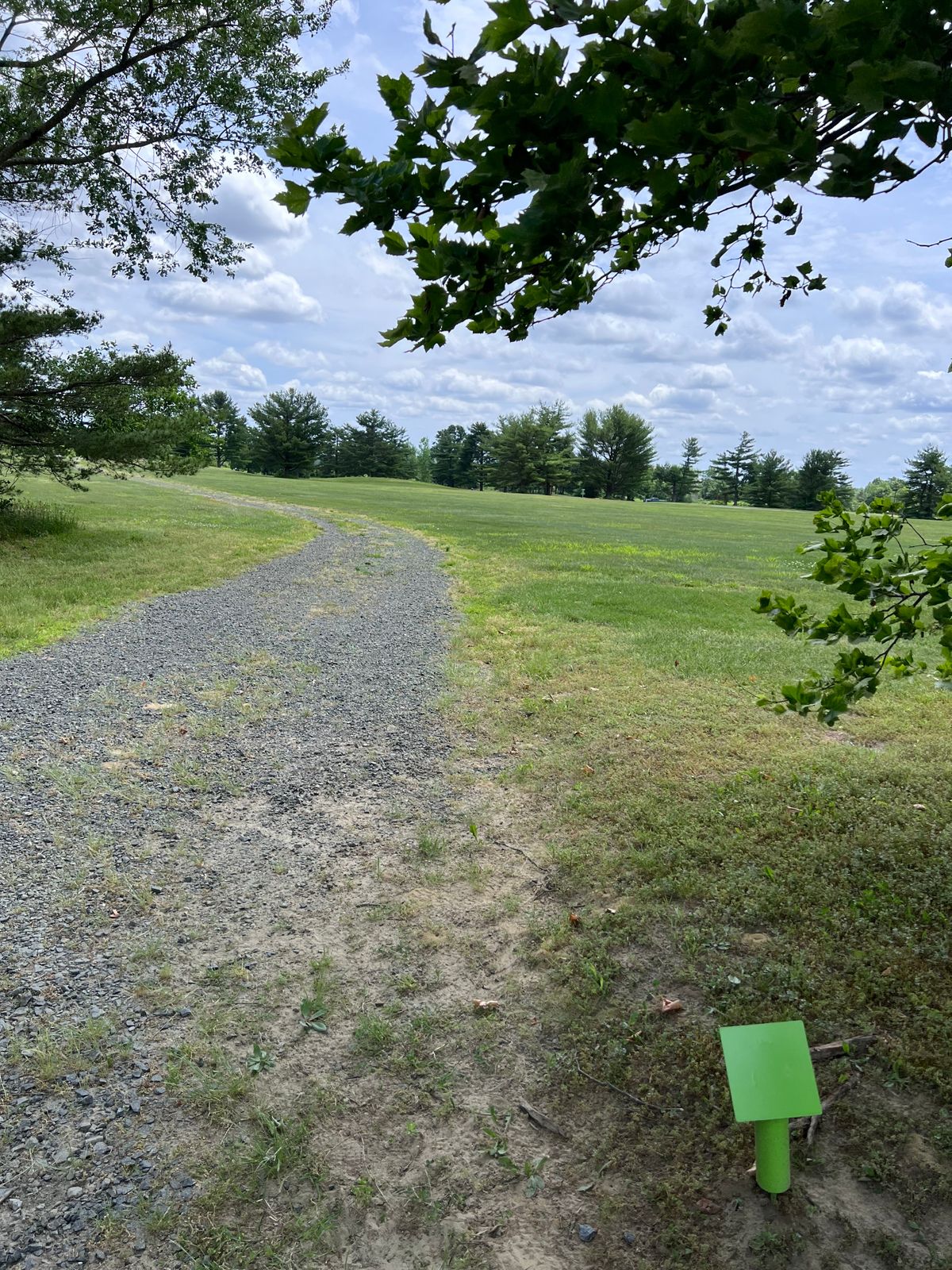 Hole 3 tee