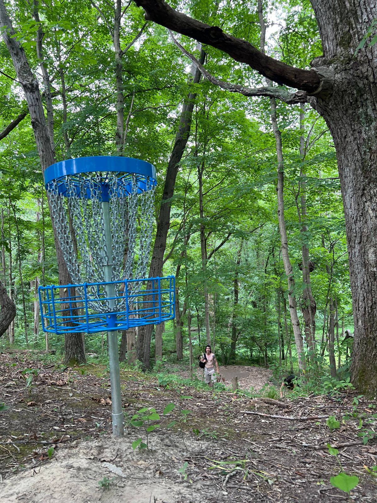 Hole 16 (blue)