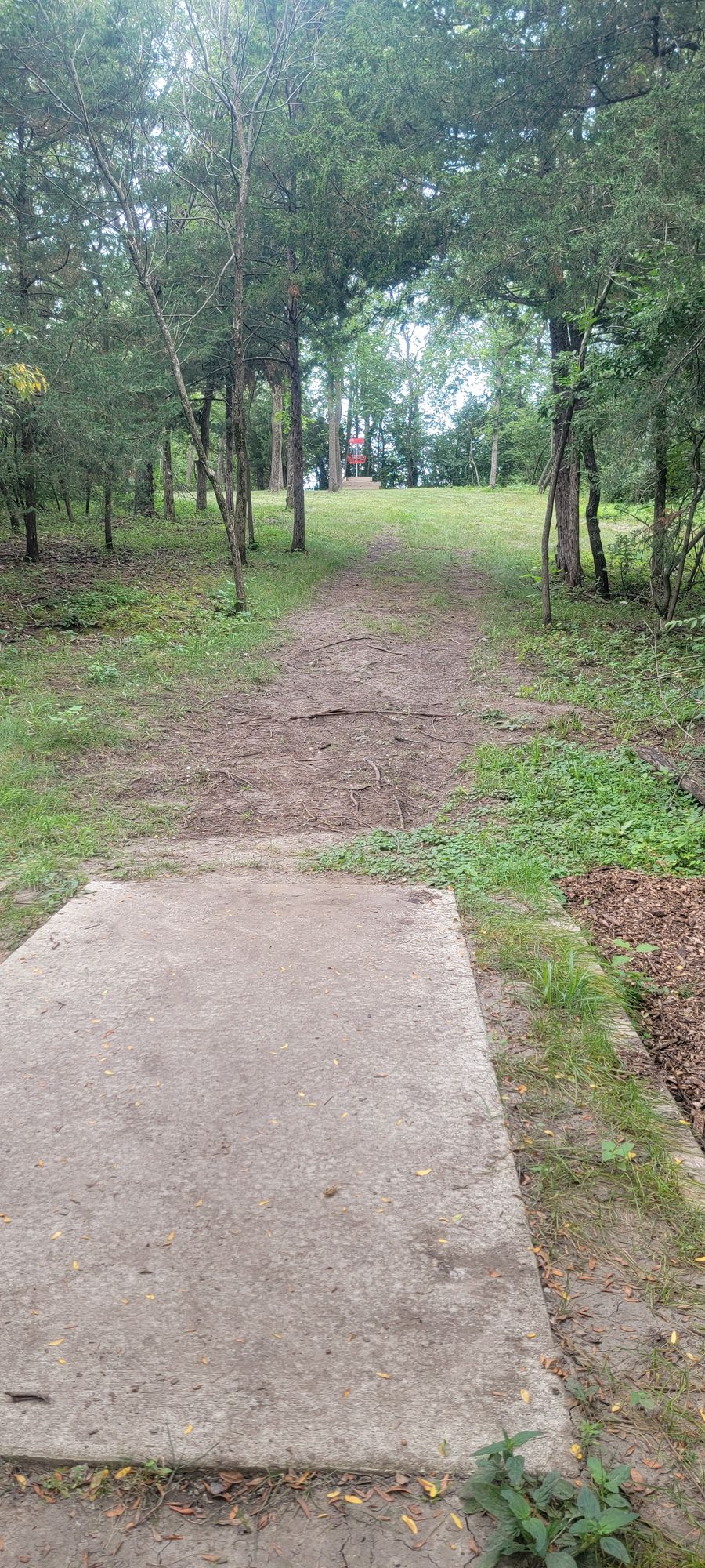 Hole 5's tee pad view. Short, uphill ace run to an elevated basket!