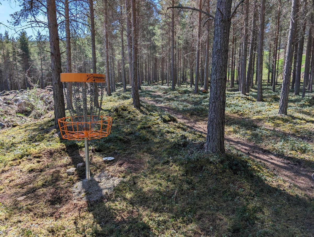 Hole 8