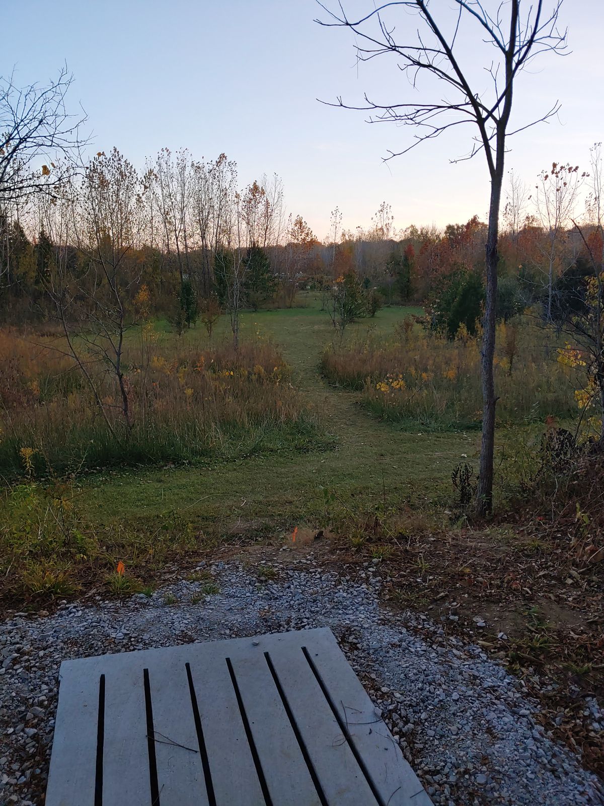 Hole 7