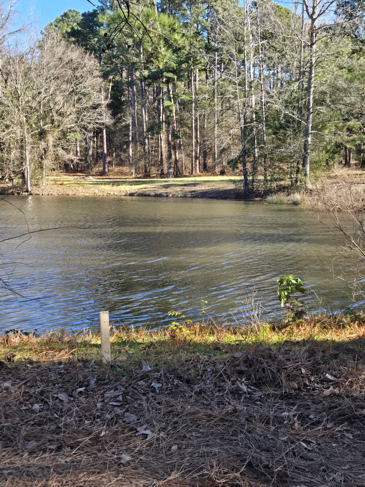 Hole 2 200ft water carry