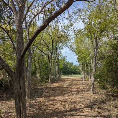 Hole 16 Tee