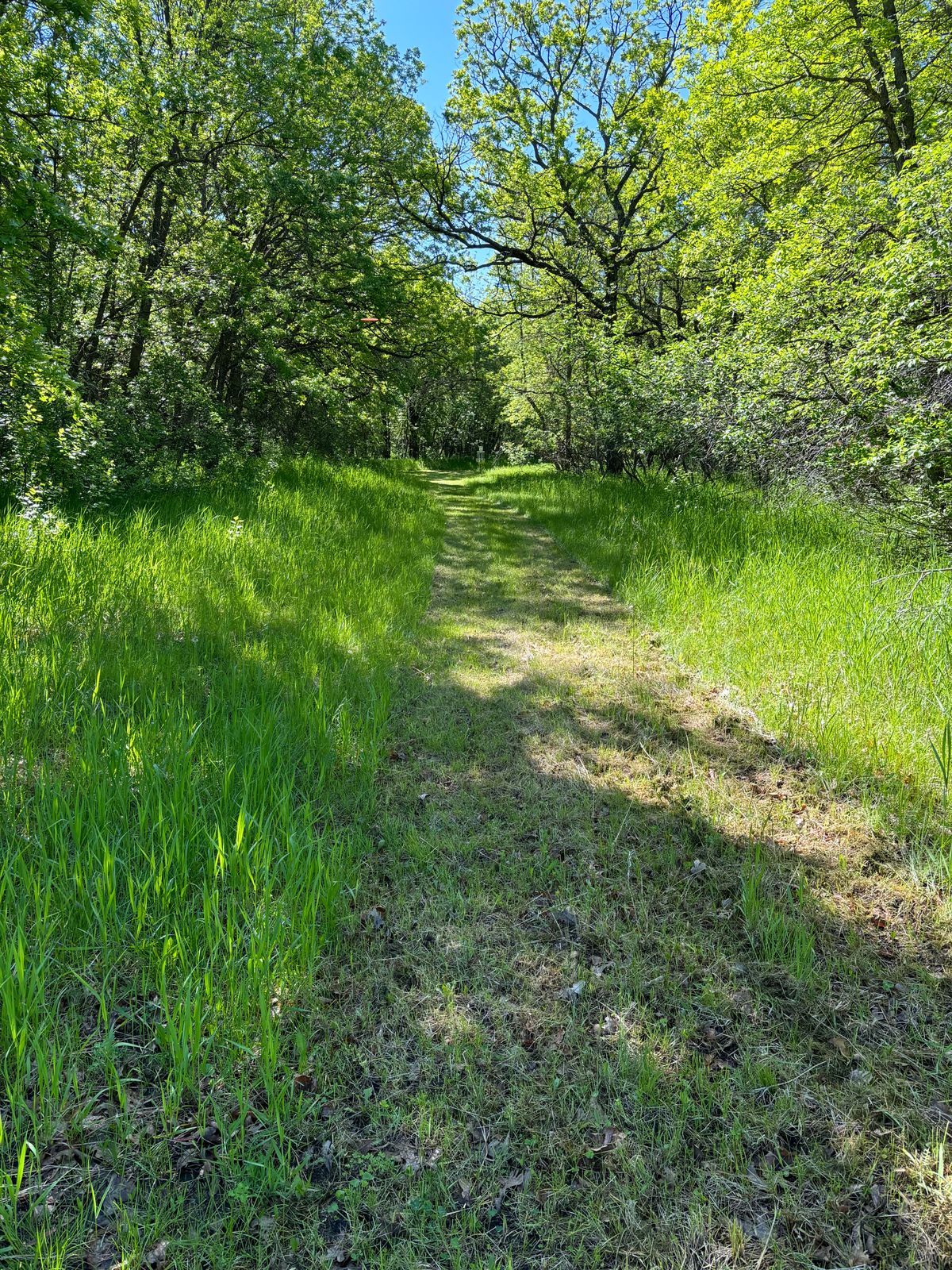 The backside of the horseshoe on hole 11 second Fairway.