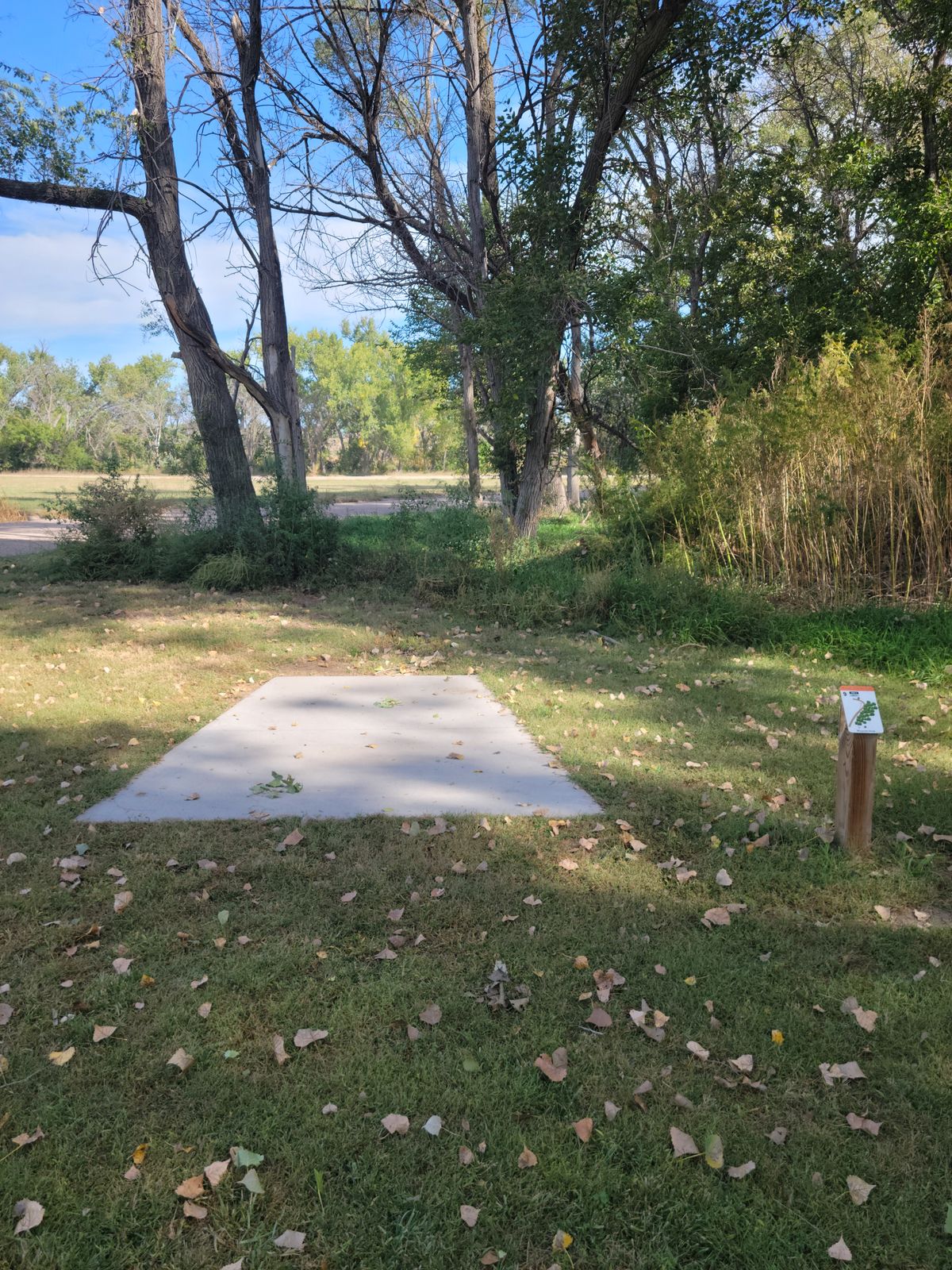 Tee box #9