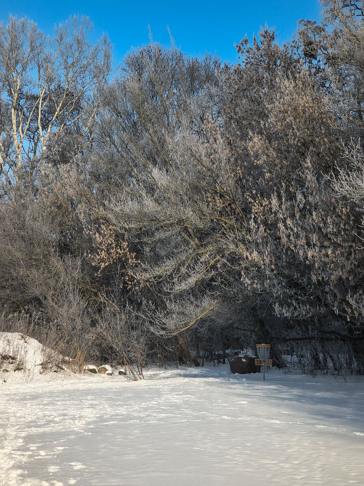 Kosz nr 5 z fairway'a 6