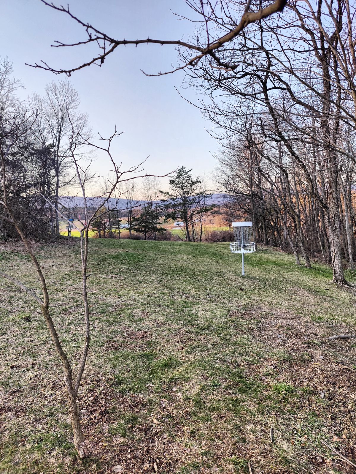 Hole 14