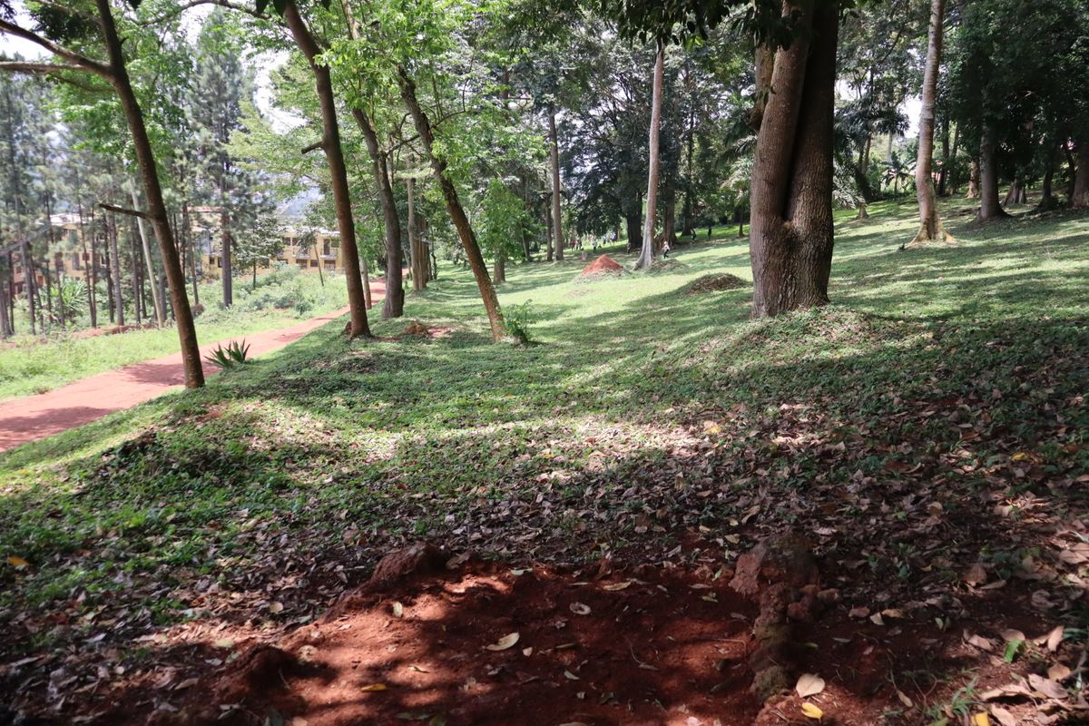Hole 9 short tee
