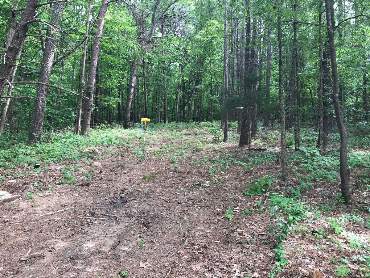 Hole 6 basket to tee
