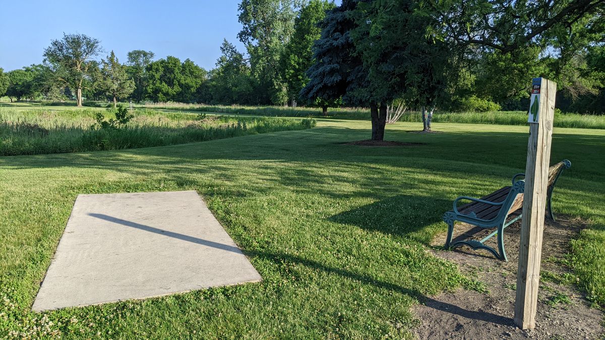 Tee #11