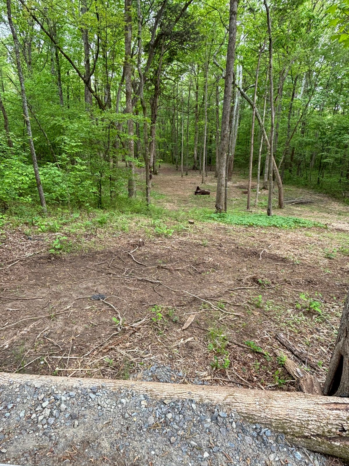 Hole 11