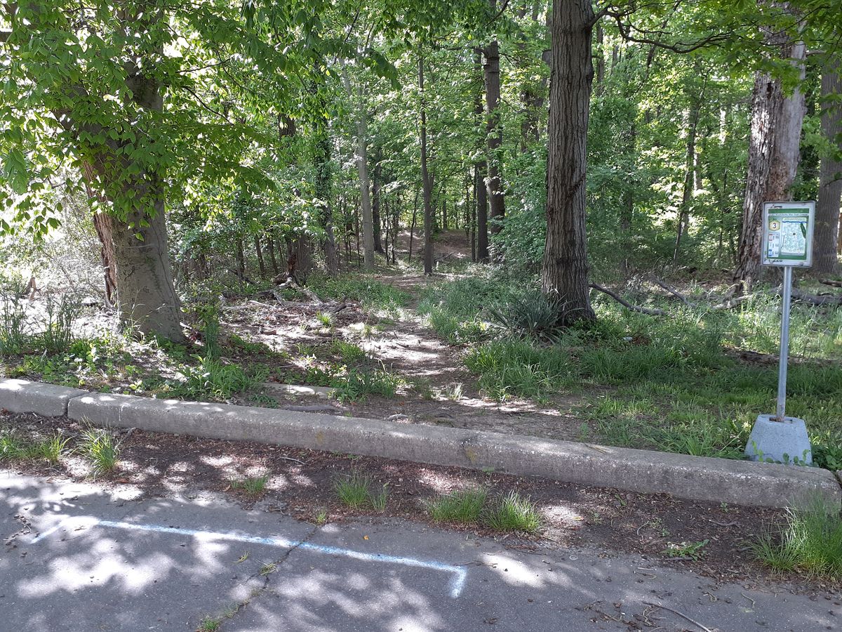 Hole 3 Tee