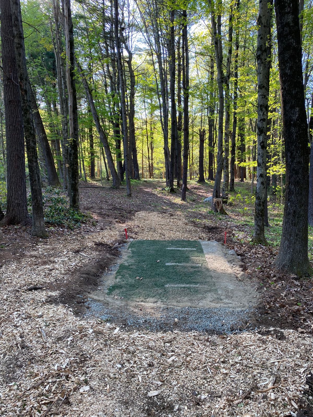 Hole 15 short tee