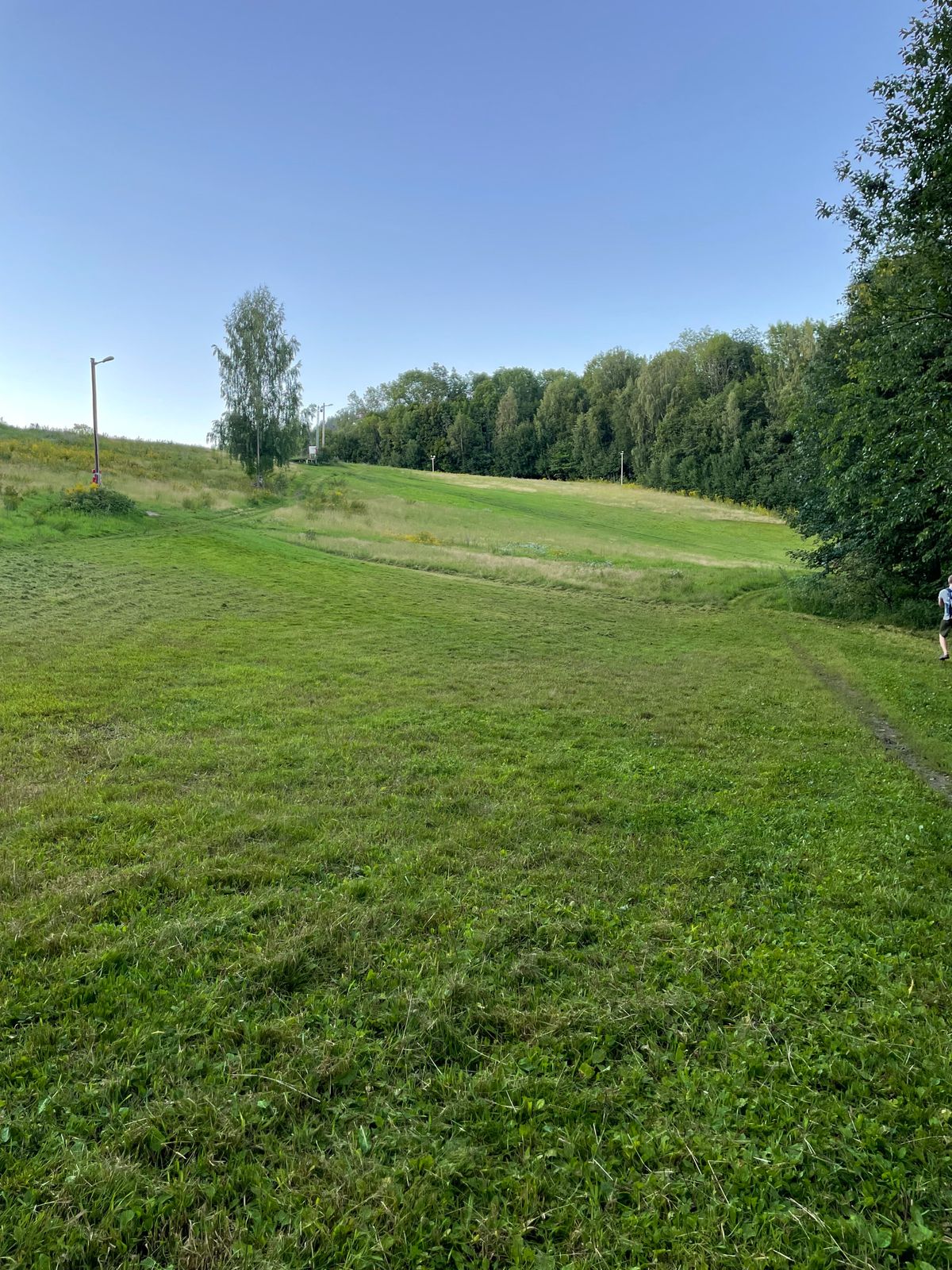 Hull 2: Dette bildet er tatt "motsatt vei". Utkastfeltet er bak stolpen oppe i bakken. Kurven er i skogen til høyre for fotografen